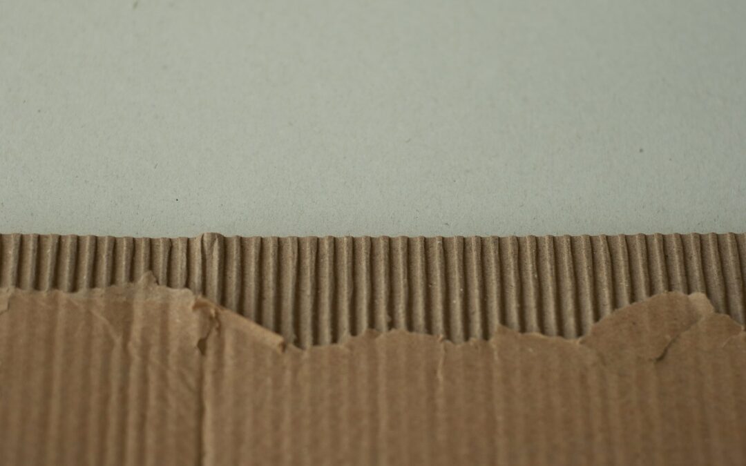 Strappa, servi e gusta: guida rapida al nuovo packaging in carta