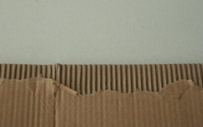 Strappa, servi e gusta: guida rapida al nuovo packaging in carta